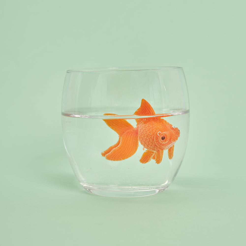 Pesce rosso & vuoti di memoria - Linea Daria