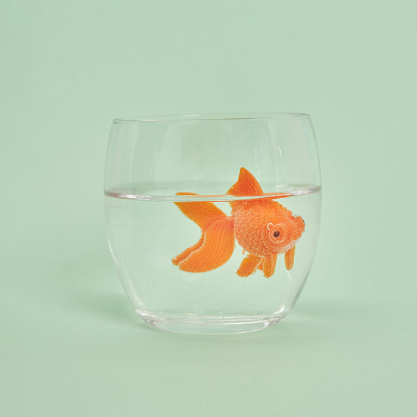 Pesce rosso & vuoti di memoria - Linea Daria 
